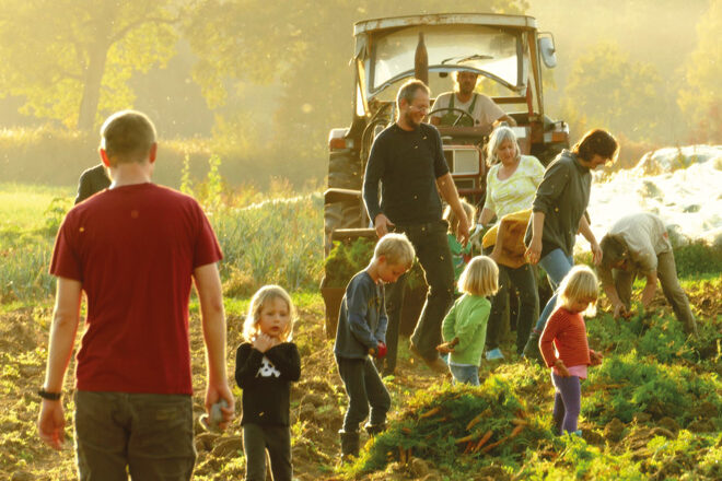 Solawi Schloss Blumenthal