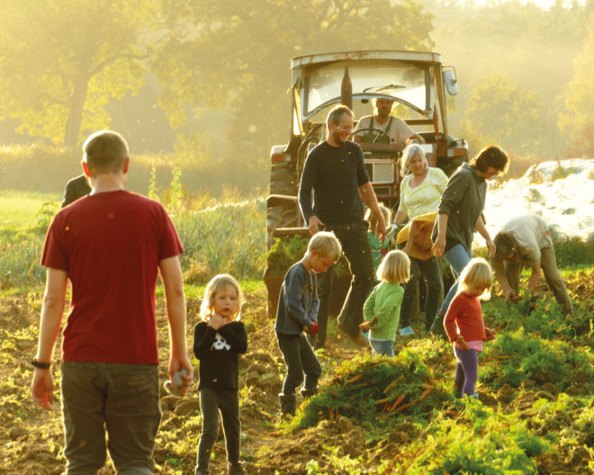 Solawi Schloss Blumenthal