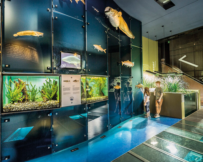 innatura Museum Dornbirn