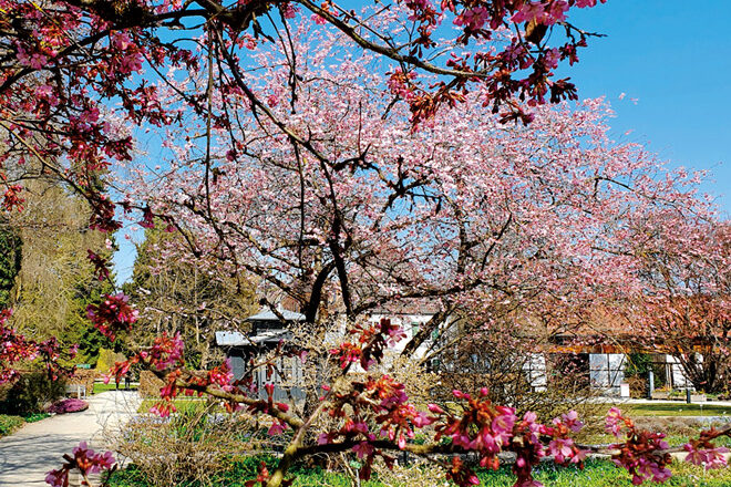 Botanischer Garten Augsburg