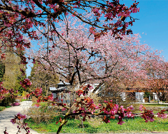 Botanischer Garten Augsburg