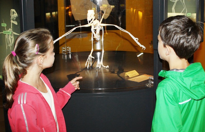 Bürgermeister-Müller-Museum in Solnhofen - Tagesausflug Augsburg